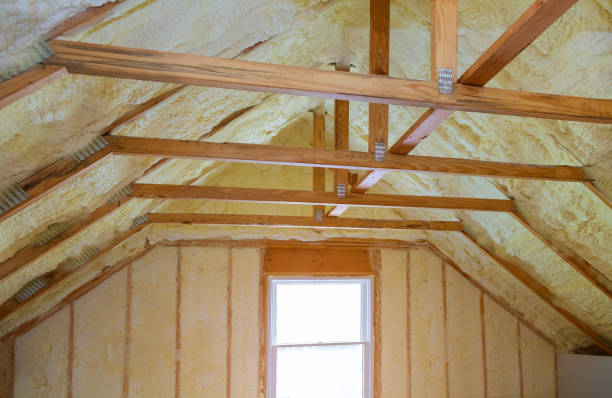 Best Commercial Insulation in Ruston, LA
