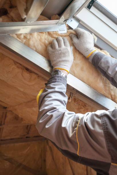Types of Insulation We Offer in Ruston, LA